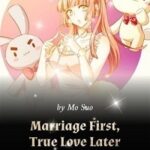 Marriage First, True Love Later Novel