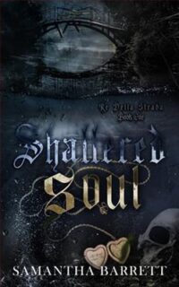 Shattered soul