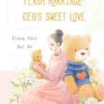 Flash Marriage: CEO's Sweet Love