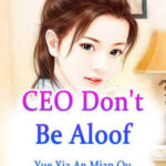 CEO, Don't Be Aloof