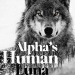 The Alpha's Human Luna